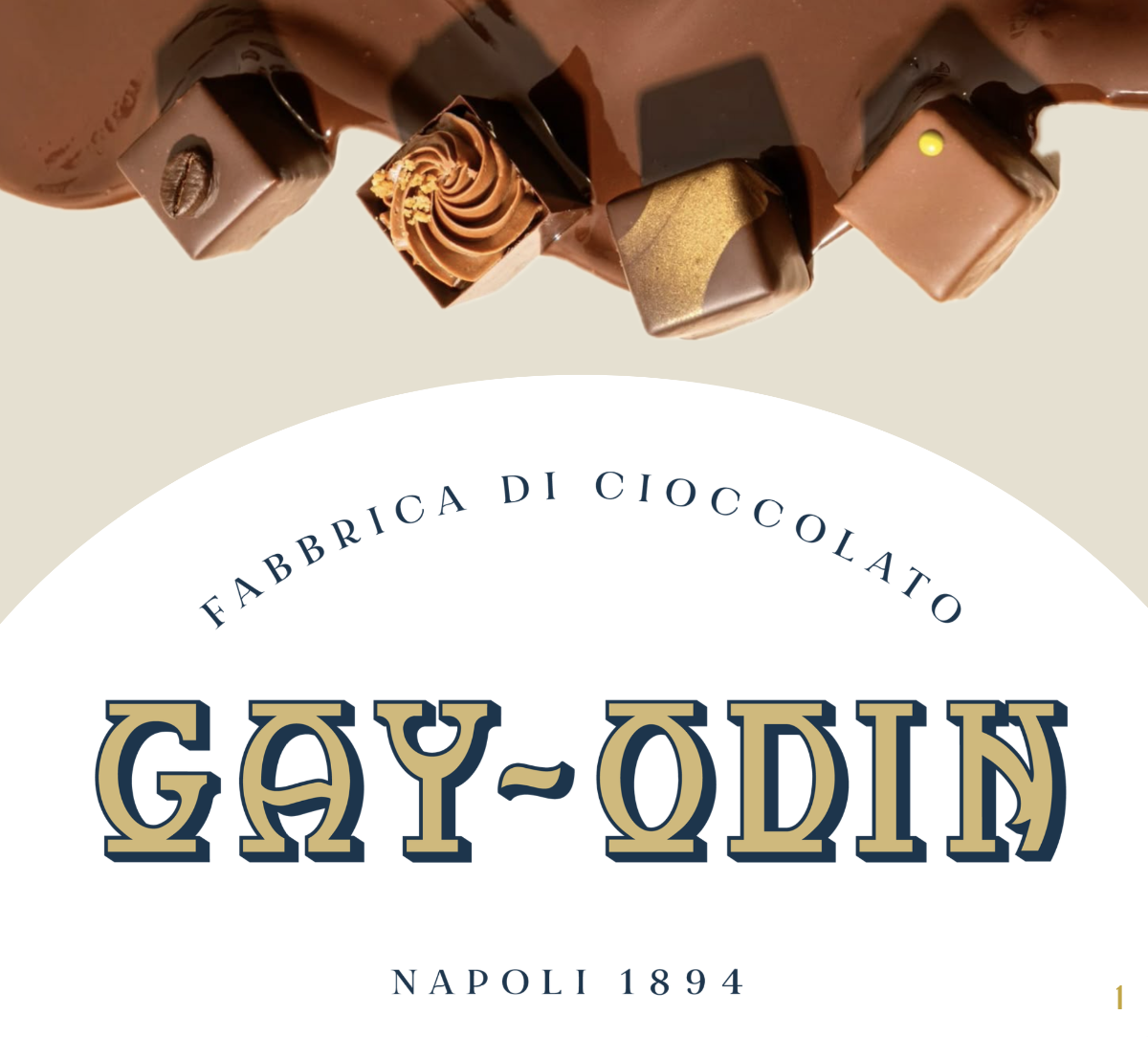 Brand Audit & Product Launch Strategy for Gay Odin