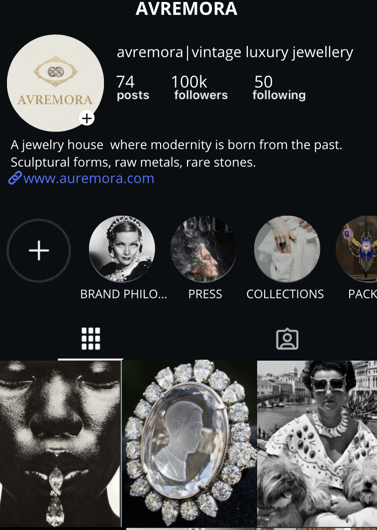Premium Jewelry Brand Development: Digital & Retail Marketing Strategy